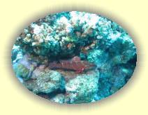 IMG_2007_05_27 14_59_29 * 1902 x 1426 * (641KB)